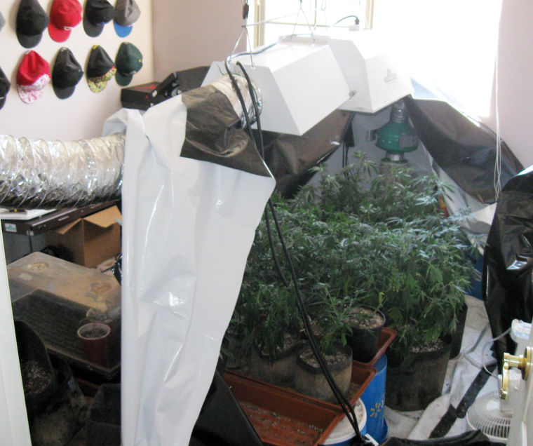More than 100 marijuana plants found in Ahwatukee home